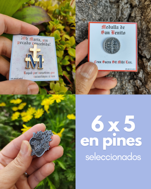 Producto - 6 x 5 en pines seleccionados
