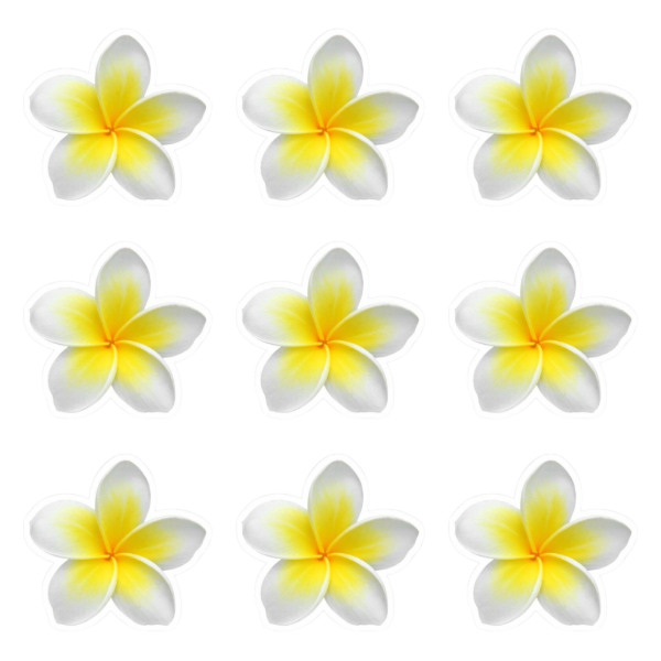 Producto - Flores comestibles blanco con amarillo pack x12un
