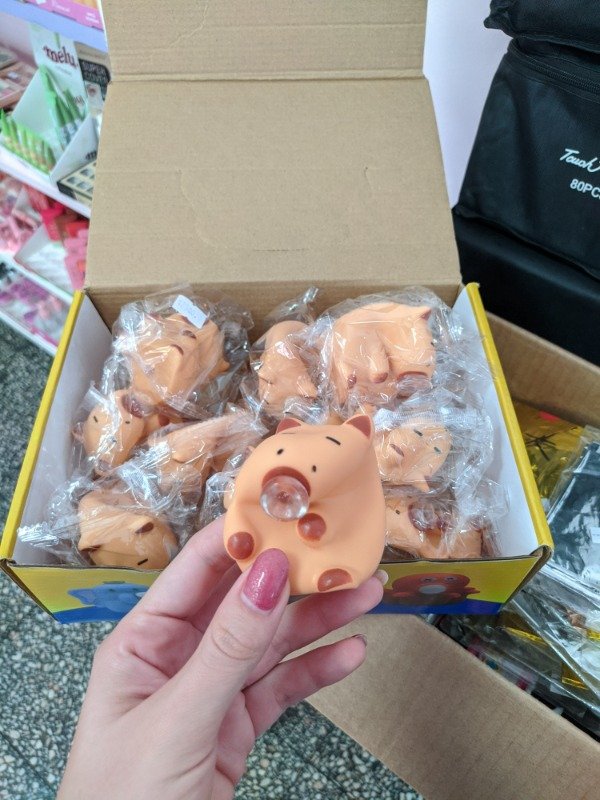 Producto - Squeze capibara con chicle