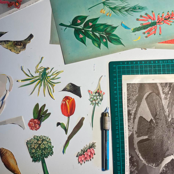 Producto - Taller de collage libre (individual)