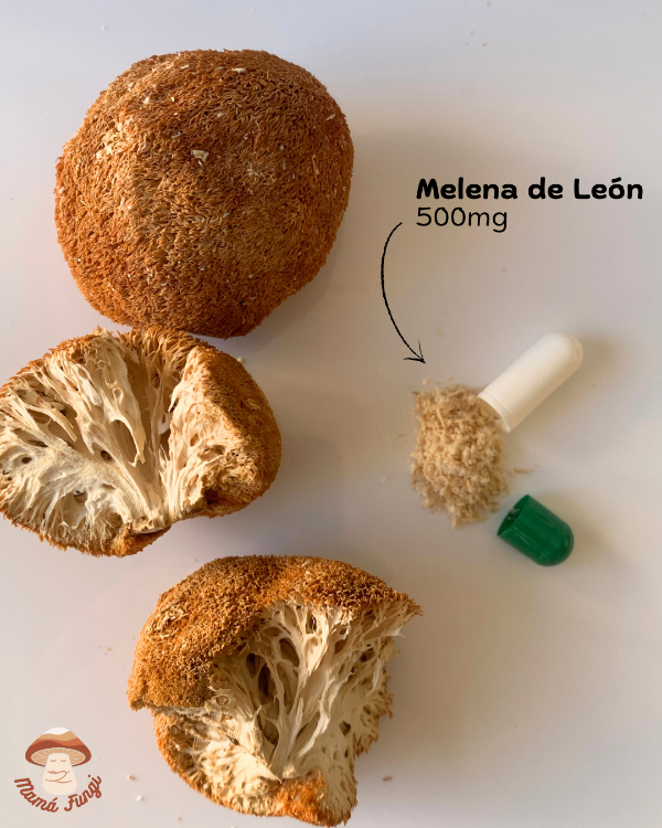 Producto - Melena de León (30 cápsulas / 30 gr)