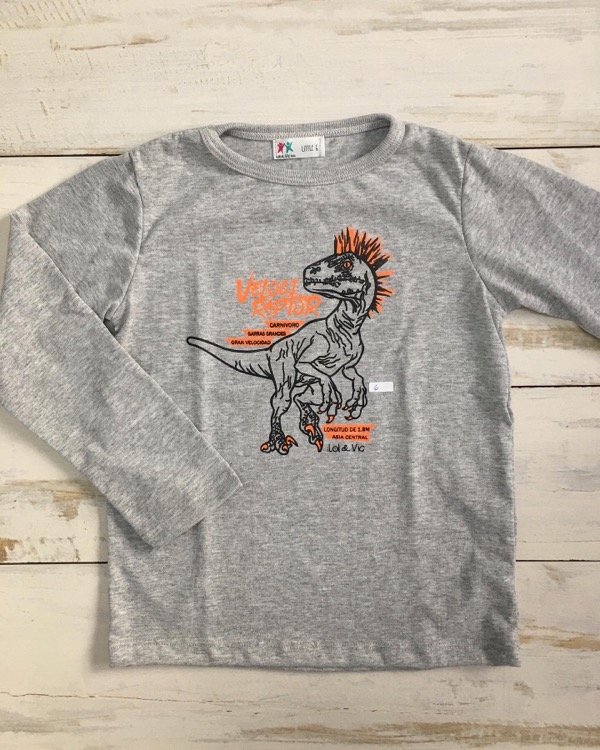 Producto - Remera dino Gris