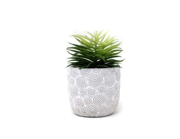 Producto - PLANTA C MAC CEMENTO  8X13 5CM