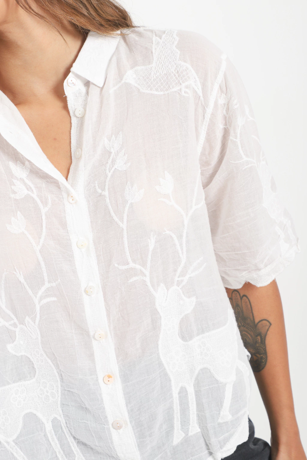 Producto - CAMISA RENUR