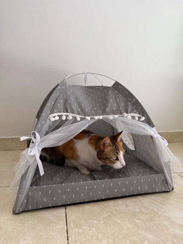 Producto - Cama modelo Carpita (gris)