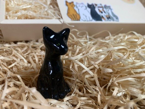 Producto - Gatito Negro