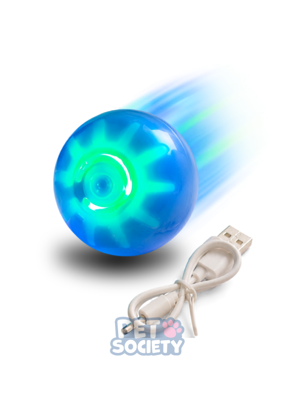 Producto - PELOTA INTERACTIVA - 0