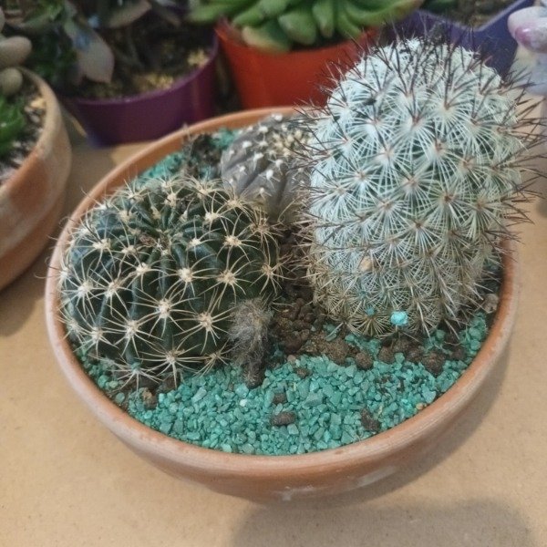 Miniatura de producto - 7