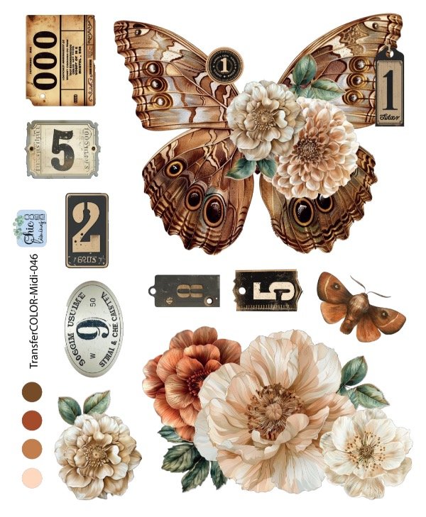 Producto - TransferCOLOR MIDI-046