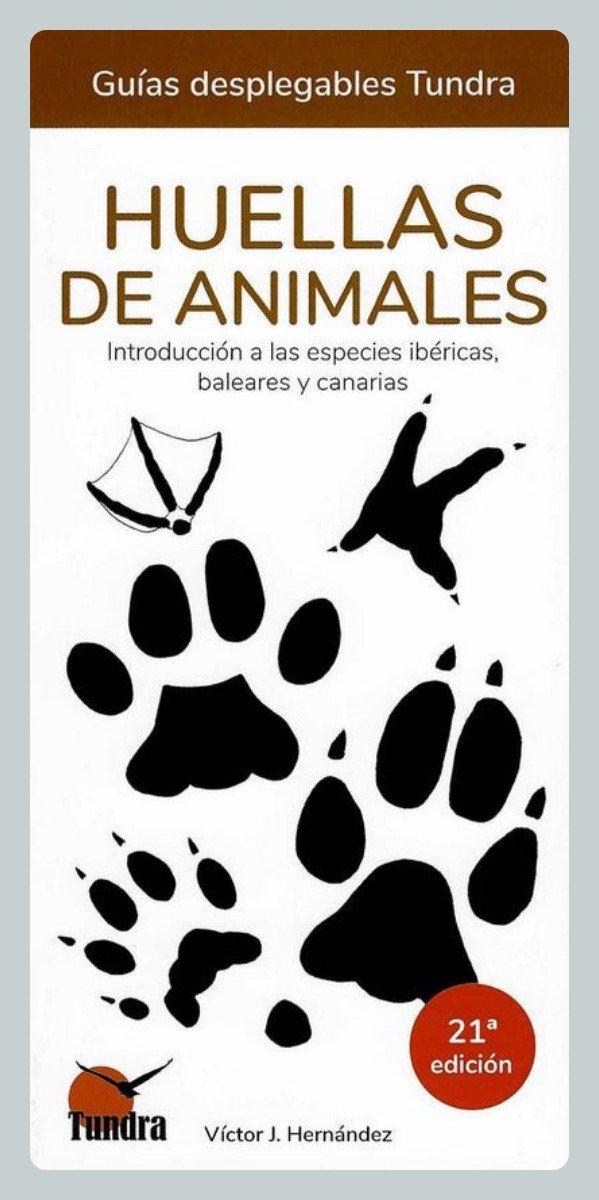 Producto - Hernández: Huellas de Animales