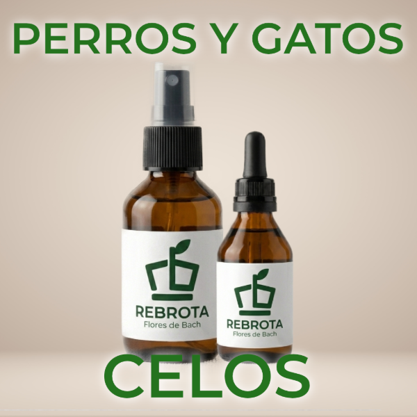 Producto - Celos - Perros y Gatos