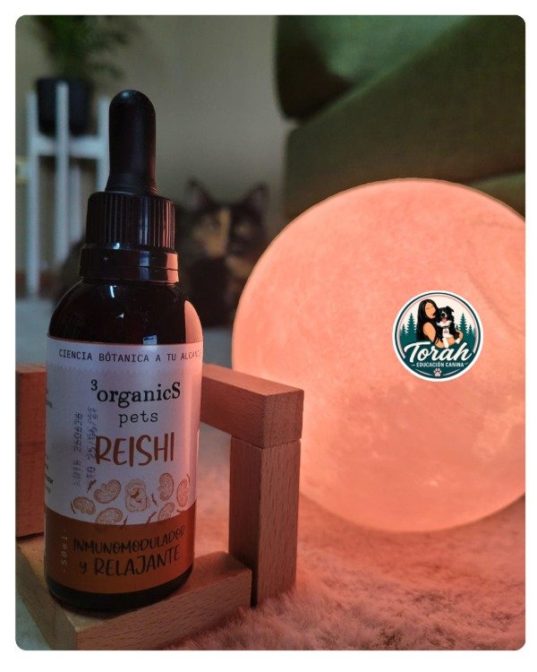 Producto - Extracto de reishi
