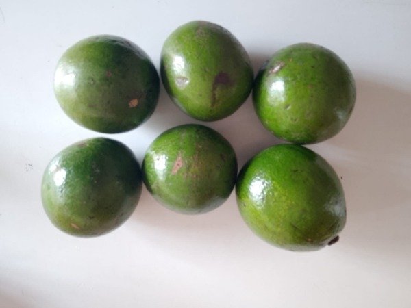 Producto - Paltas  Agroecologicas x 3 unidades