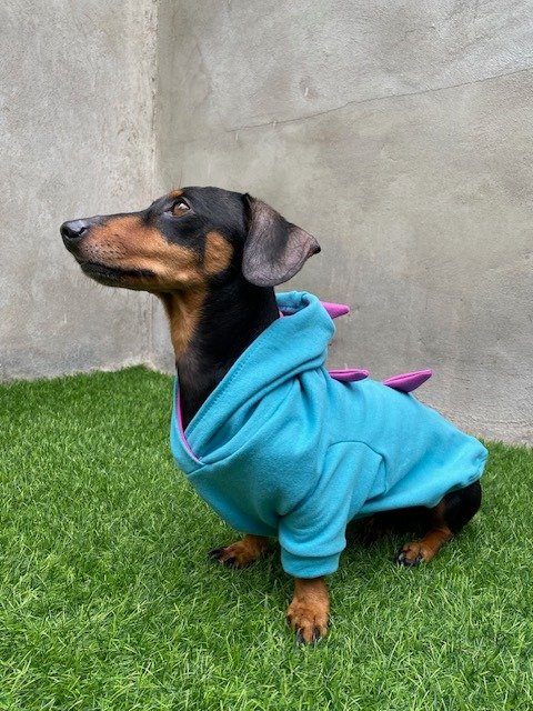 Producto - DINO TURQUESA