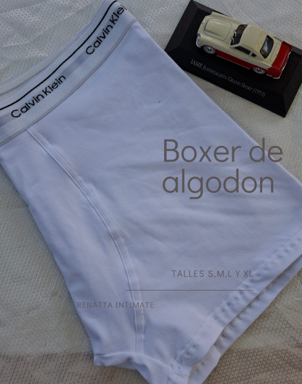 Producto - Boxer