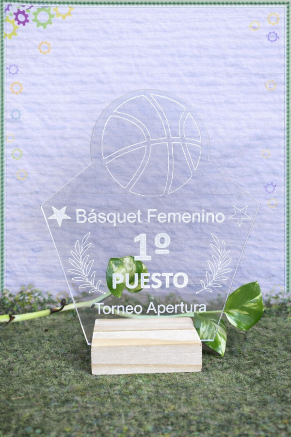 Producto - 10 ACRÍLICOS 18 x 15cm - IDEAL PARA TROFEOS, RECONOCIMIENTOS Y CENTROS DE MESA