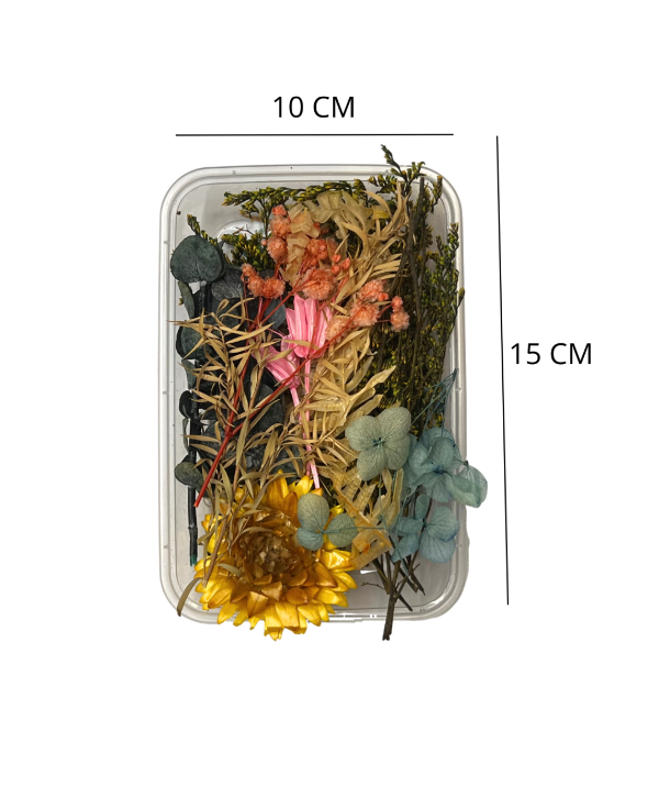 Producto - Flores secas Surtidas