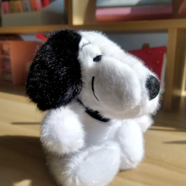 Producto - Snoopy llavero Peluche 20cm cada uno