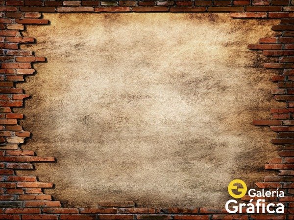 Producto - Pared Ladrillos FS 06