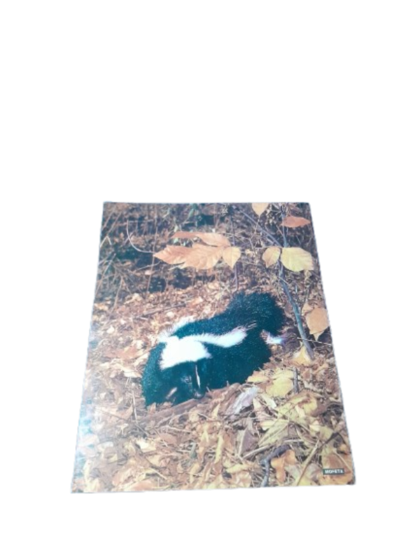 Miniatura de producto - 7