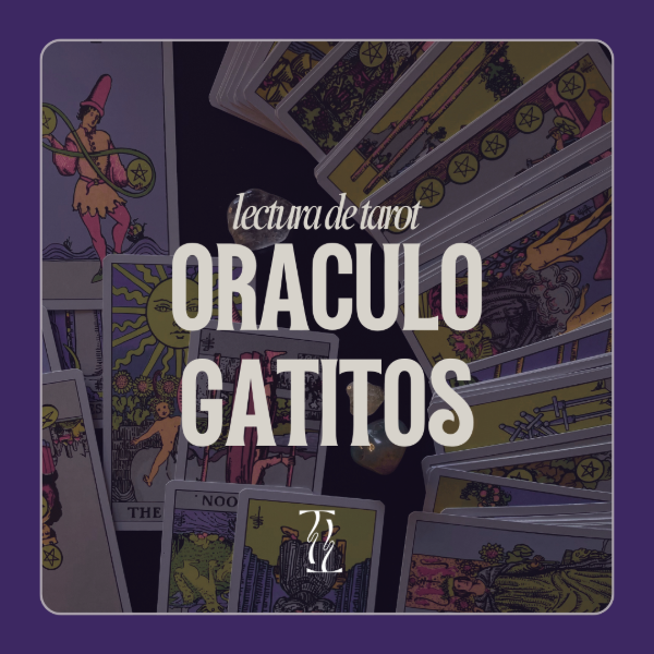 Producto - Oráculo Gatitos místicos