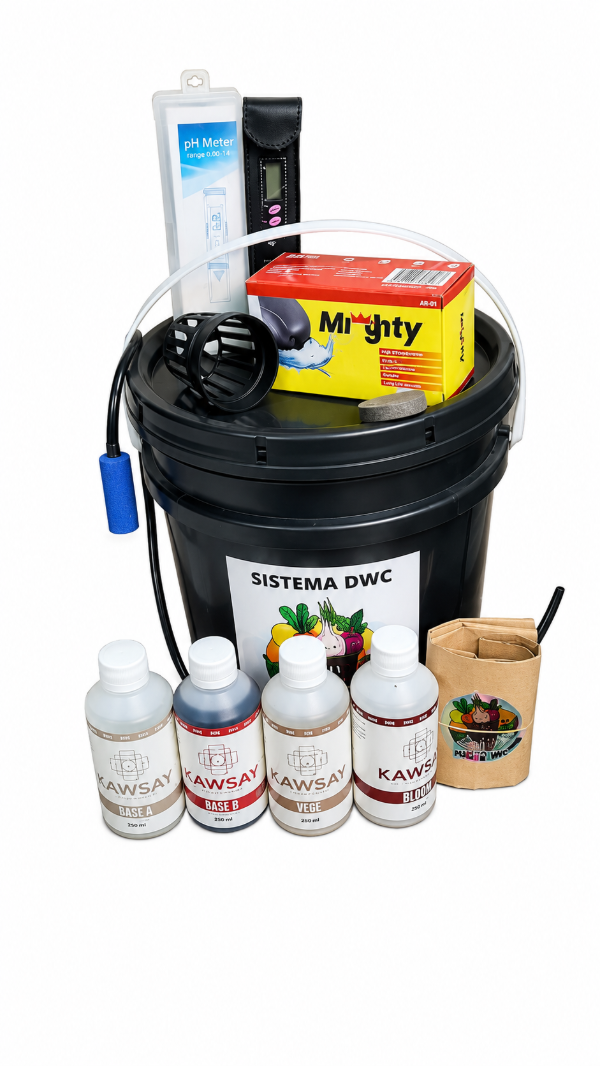 Producto - Kit DWC Inicial 10 Litros (250ml)