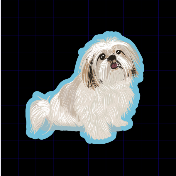 Producto - Shih Tzu