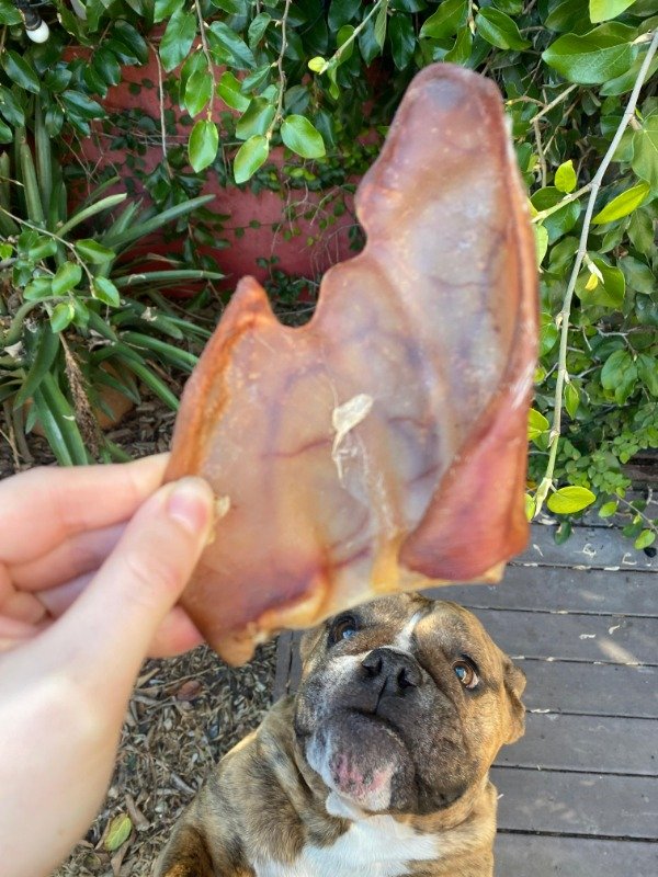 Producto - Orejas de cerdo