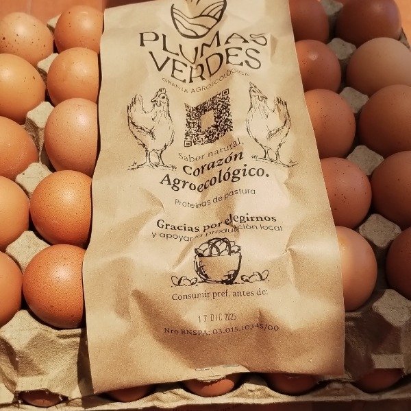 Producto - Huevos de campo de gallinas libres de jaula Plumas Verdes