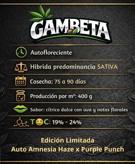 Producto - Gambeta 3 + 1 Auto  - Elefante Blanco Seeds
