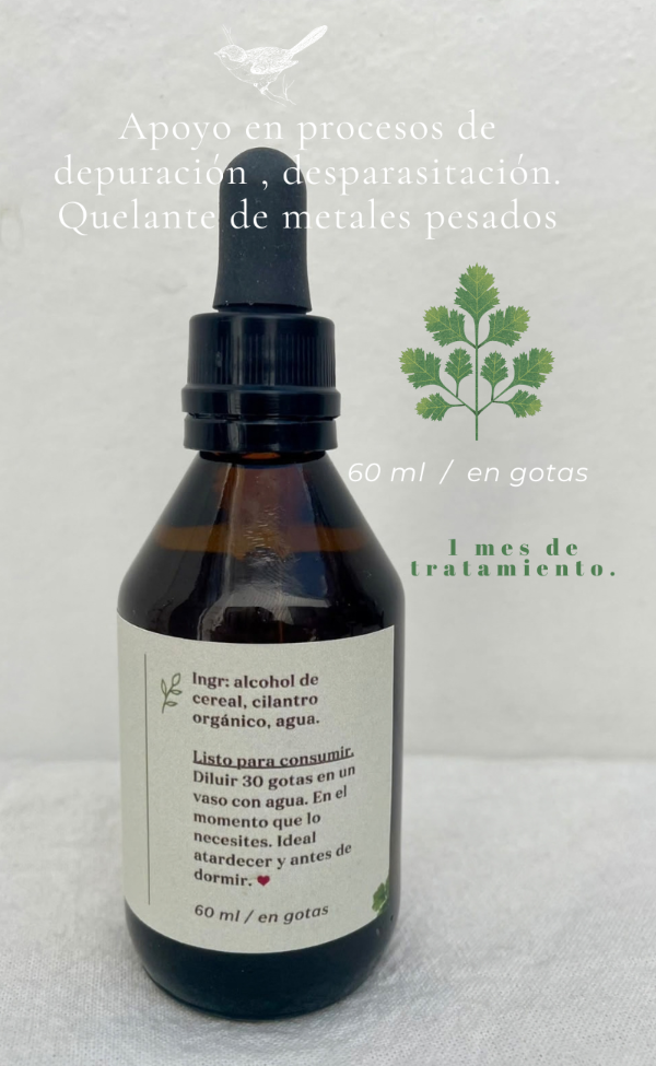 Producto - Extracto de cilantro - 1