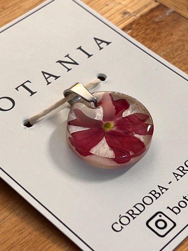 Producto - Variedad 31 verbena roja - 0