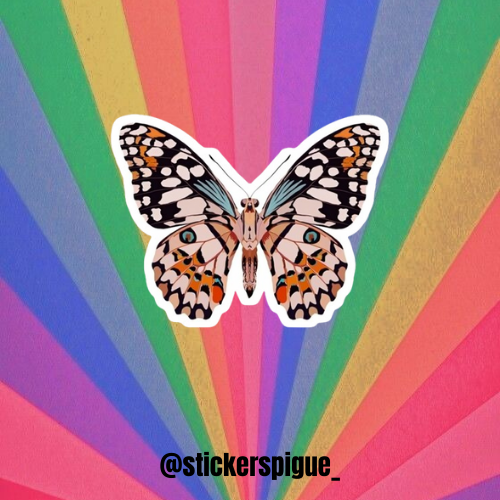 Producto - Flores - mariposas - arcoiris #16