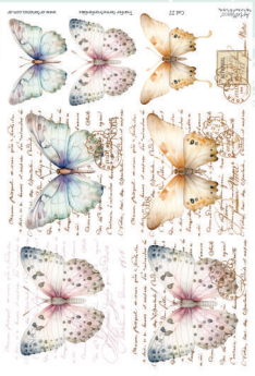 Producto - Transfers 22
