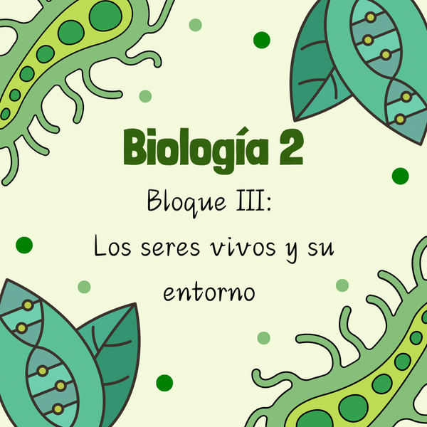 Producto - Bloque III: Los seres vivos y su entorno