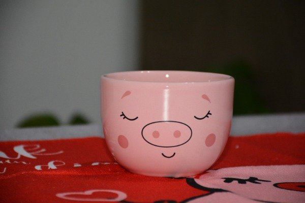 Producto - BOWL CEREALERO - CERDITO