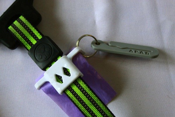 Producto - Paseo - 2