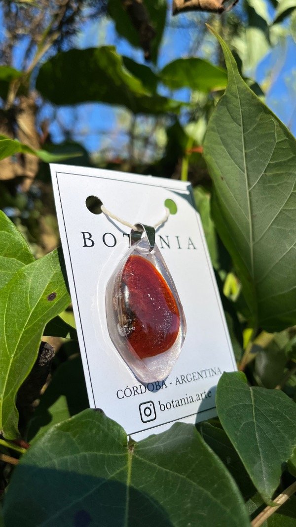 Producto - Hongos 10