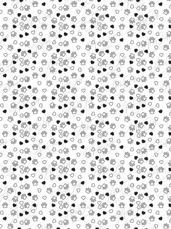 Producto - Black and White 24