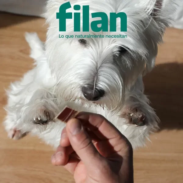 Producto - Esófago vacuno mini FILAN - Premio - Dureza media - 1