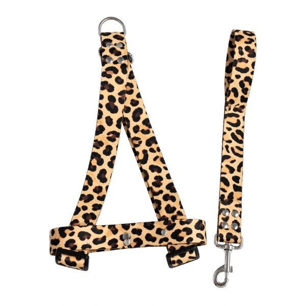 Producto - Pretal y Correal Animal Print XL