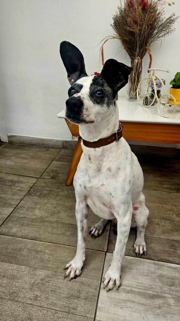 Miniatura de producto - 11