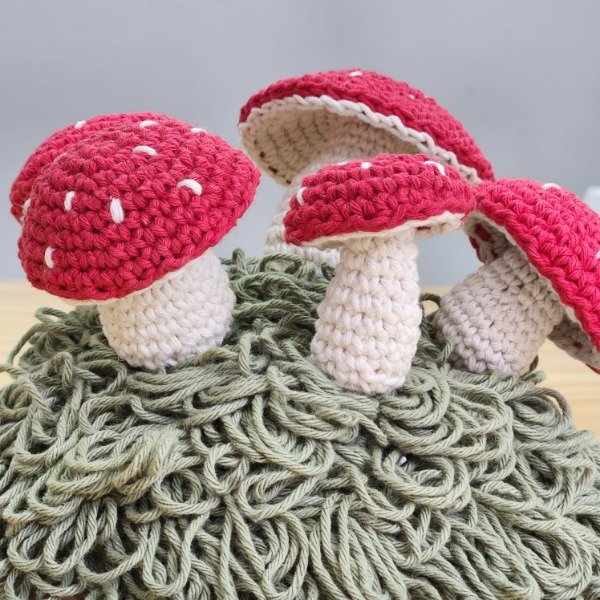 Producto - MI PRIMER AMIGURUMI - HONGUITO - 4
