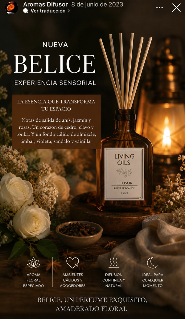 Producto - Difusor varilla Belice