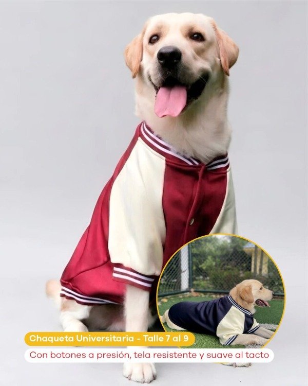 Producto - Chaqueta universidad