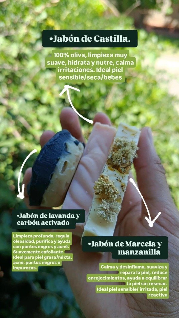 Producto - Jabon vegetal biodegradable