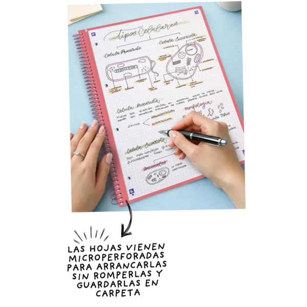 Producto - Cuaderno A4 Oxford 80 Hojas Rayadas Tapa Blanda - 2