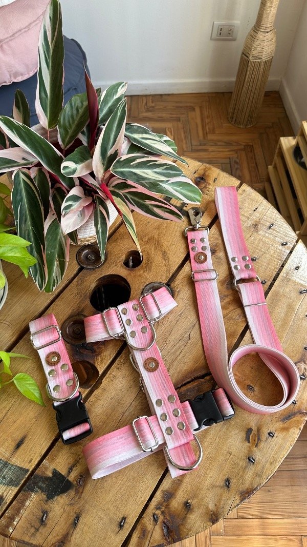 Producto - Combo Aurora Reforzando