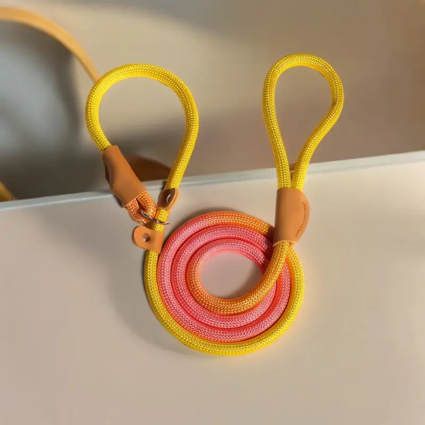 Producto - CORREA CON COLLAR COLOR PASTEL REGULABLE HASTA 34cm