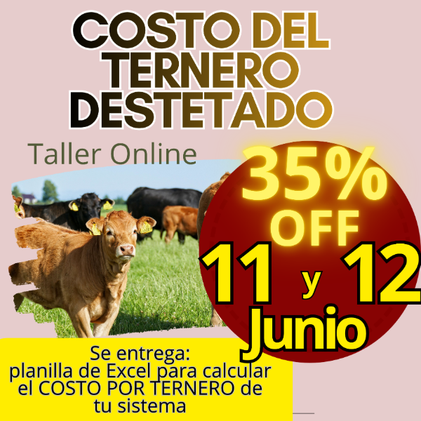 Producto - Taller Online: Costo del Ternero